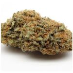 Шишки AK47 (Гидропоника, Бошка) VHQ в Кудымкаре Шишки AK47 (Гидропоника, Бошка) VHQ в Кудымкаре